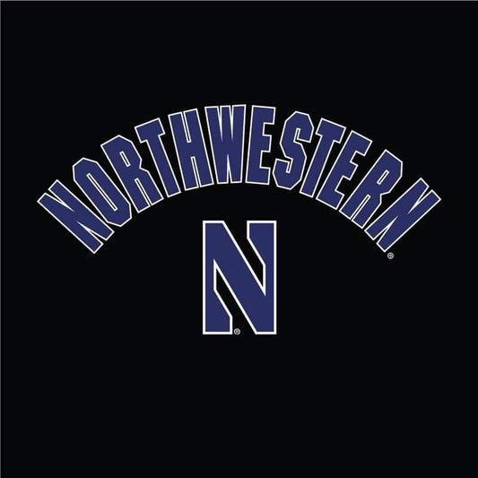 Northwestern University Wildcats Champion Men's Black Pullover Hockey Hooded Sweatshirt with Arch & Stylized N Design -Front Design