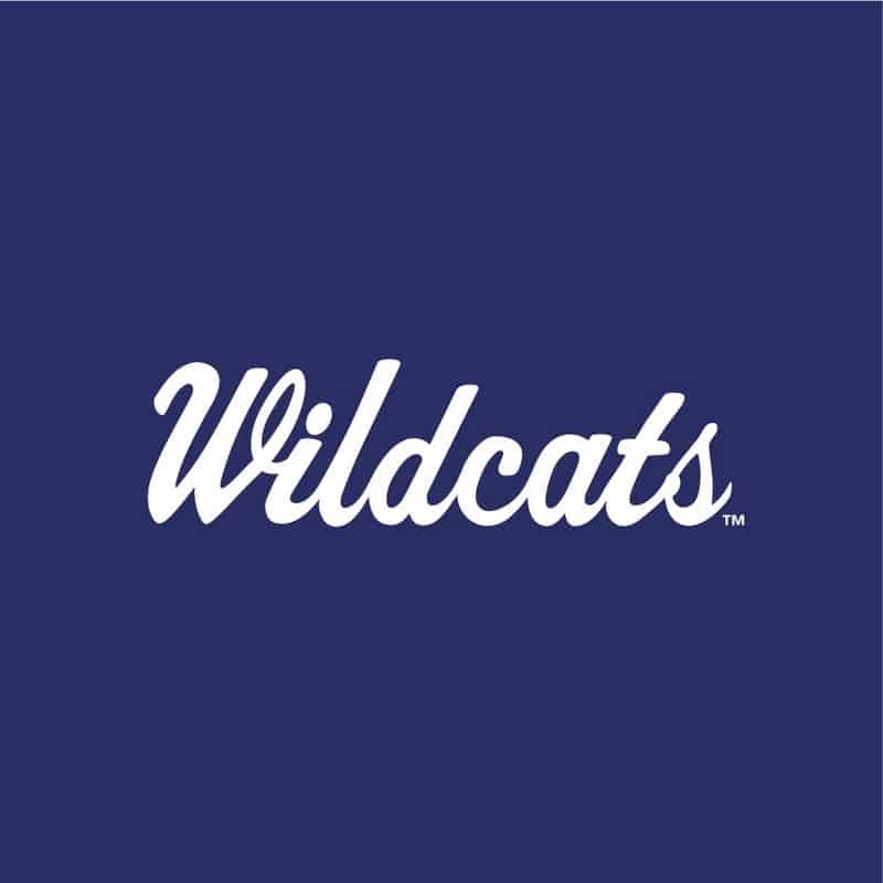 Northwestern University Wildcats Champion Men's Black Pullover Hockey Hooded Sweatshirt with Arch & Stylized N Design -Back Design
