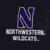 Northwestern University Wildcats Ladies Under Armour Coldgear Nodus Black 1/2 Zip