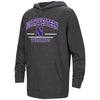 Northwestern University Wildcats Colosseum Youth Hooded Sweatshirt with Stylized N Design