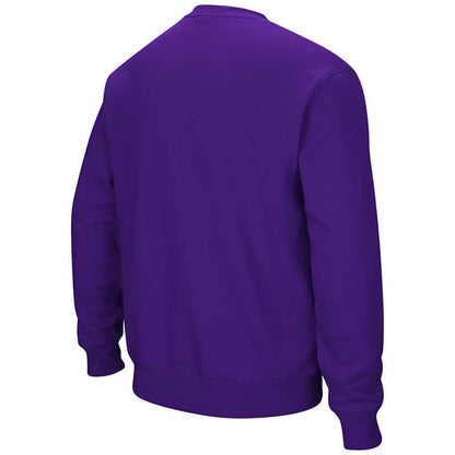 Northwestern University Wildcats Men's Purple Colosseum Crewneck Sweatshirt With Sewn Arched Northwestern Over N-Cat Design-Back