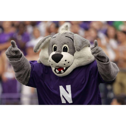 Northwestern University Wildcats Mascot Willie The Wildcat Pillow