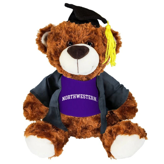 Northwestern University Wildcats Graduation Brown Bear