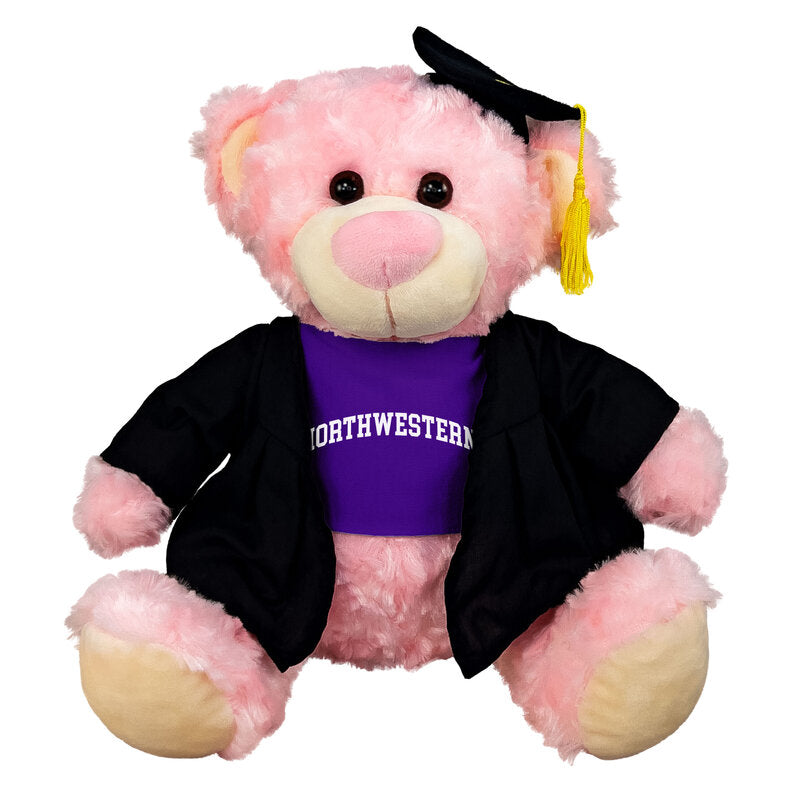 Northwestern University Wildcats Graduation Pink Bear