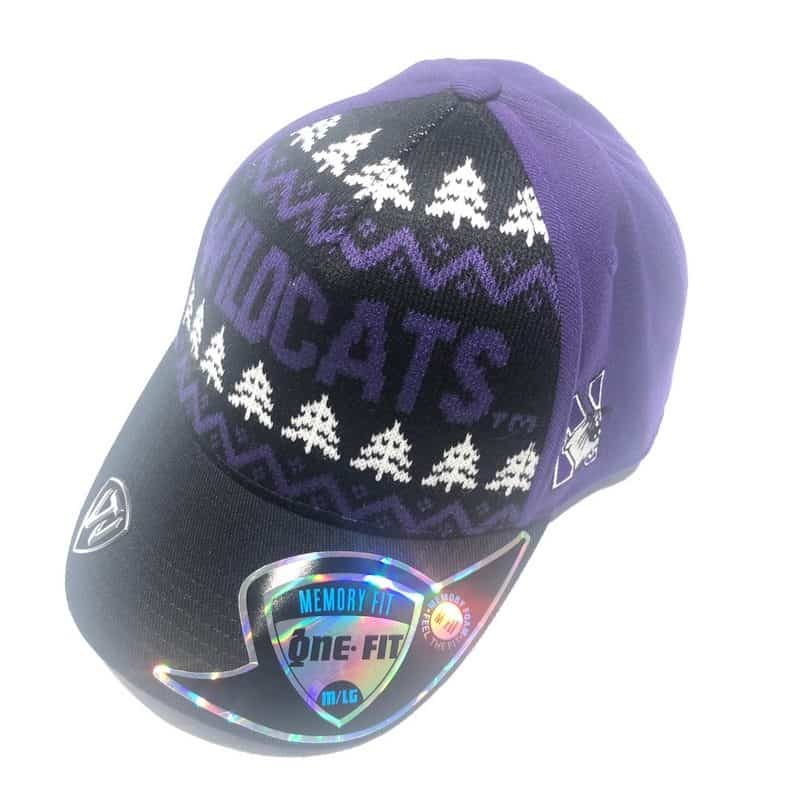 Northwestern University Wildcats Onefit Christmas & Holiday Inspired Hat