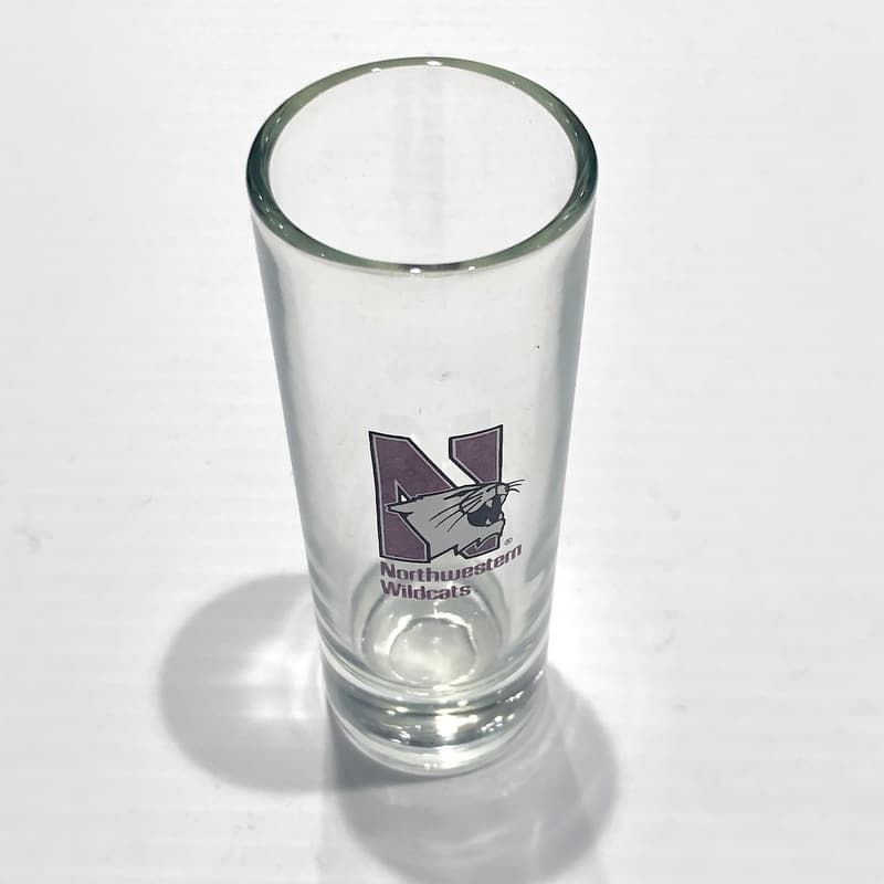 Northwestern Wildcats 7.5 oz. Cylinder Bud Vase with N-Cat Design