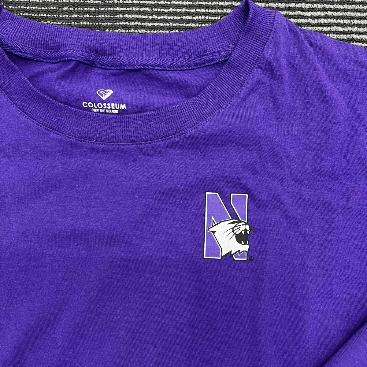 Northwestern University Wildcats Colosseum Ladies Purple All Around Oversized L/S Top with N-Cat Design