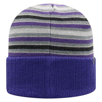Northwestern University Wildcats Adult Multicolor Stripped Cuffed Knit Hat With Embroidered Stylized N