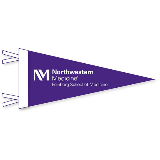 Northwestern Feinberg School of Medicine Wool Felt Pennant Size Large 12"X30"