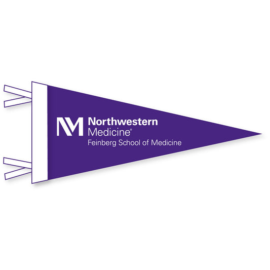 Northwestern Feinberg School of Medicine Wool Felt Pennant Size Mini 4"X9"
