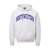 Northwestern University Wildcats Men's MV Fundamental Fleece Marble Heather Hooded Sweatshirt with One Color Arch Design