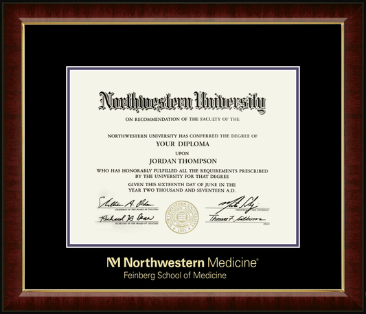 Northwestern University Wildcats Gold Embossed Feinberg School of Medicine Diploma Frame in Murano with black and purple mats