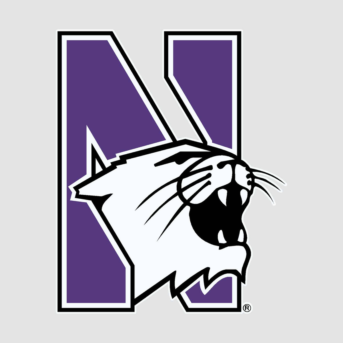 Northwestern University Wildcats Full Color Outside Application Decal with N-Cat Design 4.5" High
