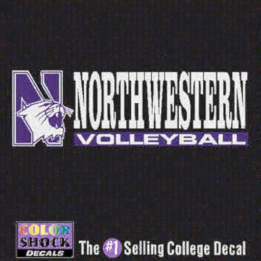 Northwestern University Volleyball Outside Application Decal