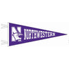 Northwestern Wildcats Wool Felt Pennant with the Mascot Design (6X15)