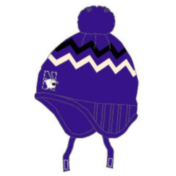Northwestern Wildcats Colosseum Toddler Knit Cap