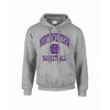 Northwestern University Wildcats Grey Hooded Sweatshirt with Basketball Design