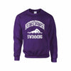Northwestern Wildcats Men's Purple Crewneck Sweatshirt with Swimming Design