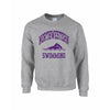 Northwestern Wildcats Men's Grey Crewneck Sweatshirt with Swimming Design