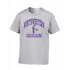 Northwestern University Wildcats Sport Grey Short Sleeve Tee Shirt with Cheerleading Design