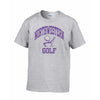 Northwestern Wildcats Men's Grey Short Sleeve Tee Shirt with Golf Design