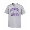 Northwestern Wildcats Men's Grey Short Sleeve Tee Shirt with Water Polo Design