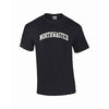 Northwestern Wildcats Youth Black Short Sleeve Tee Shirt with Northwestern University Seal Design