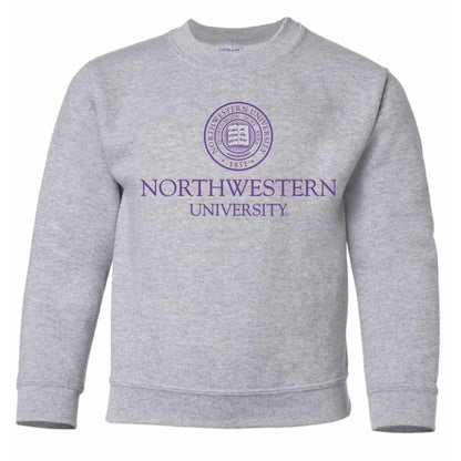 Northwestern University Wildcats Youth Dark Grey Crewneck Sweatshirt with Northwestern University Seal Design