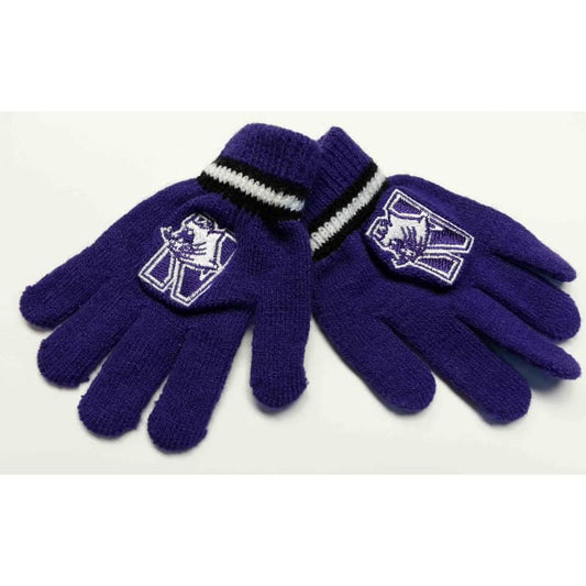 Northwestern Wildcats Toddler Knit Gloves