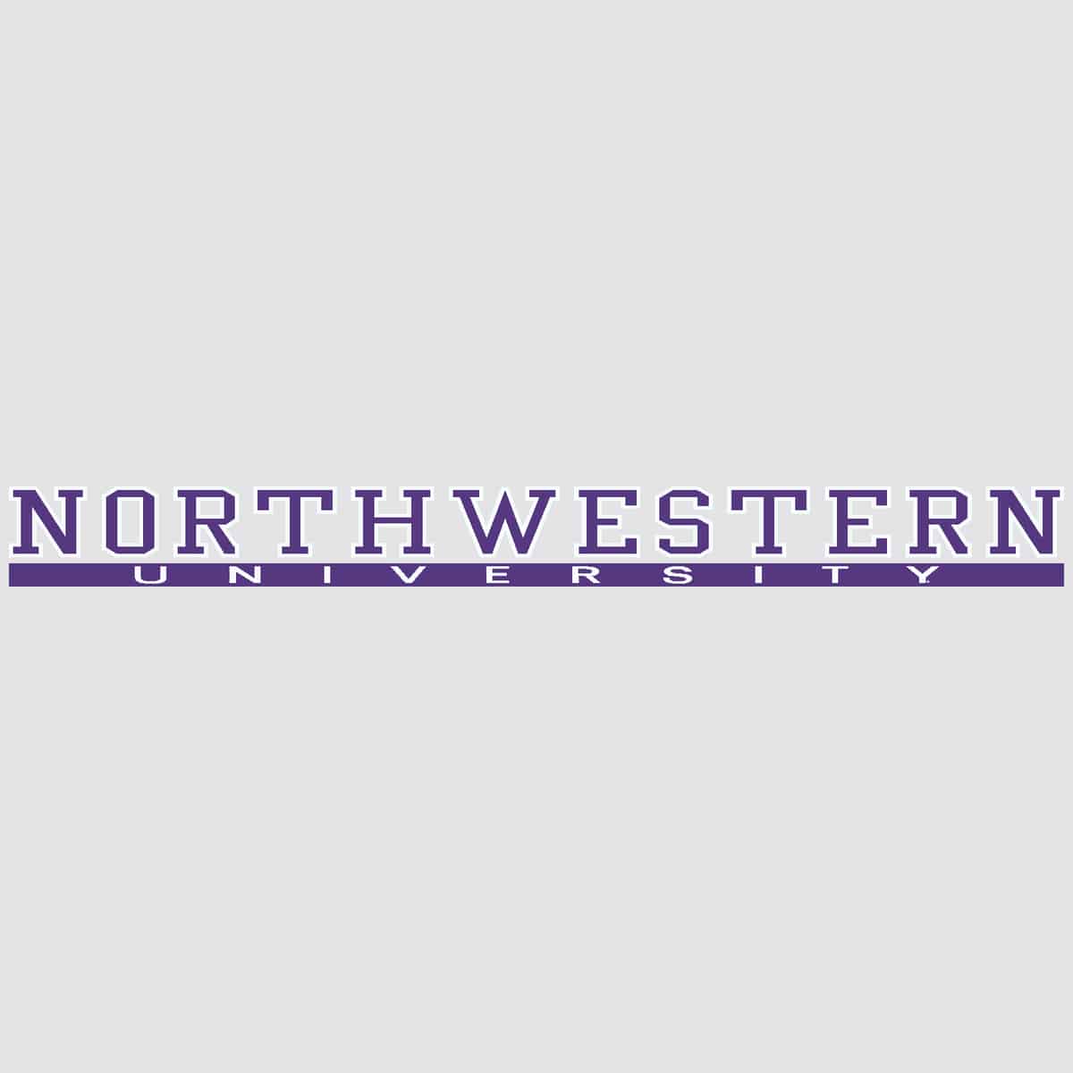 Northwestern University Wildcats N-cat Northwestern University Bar Design Long Outside Application Decal-1