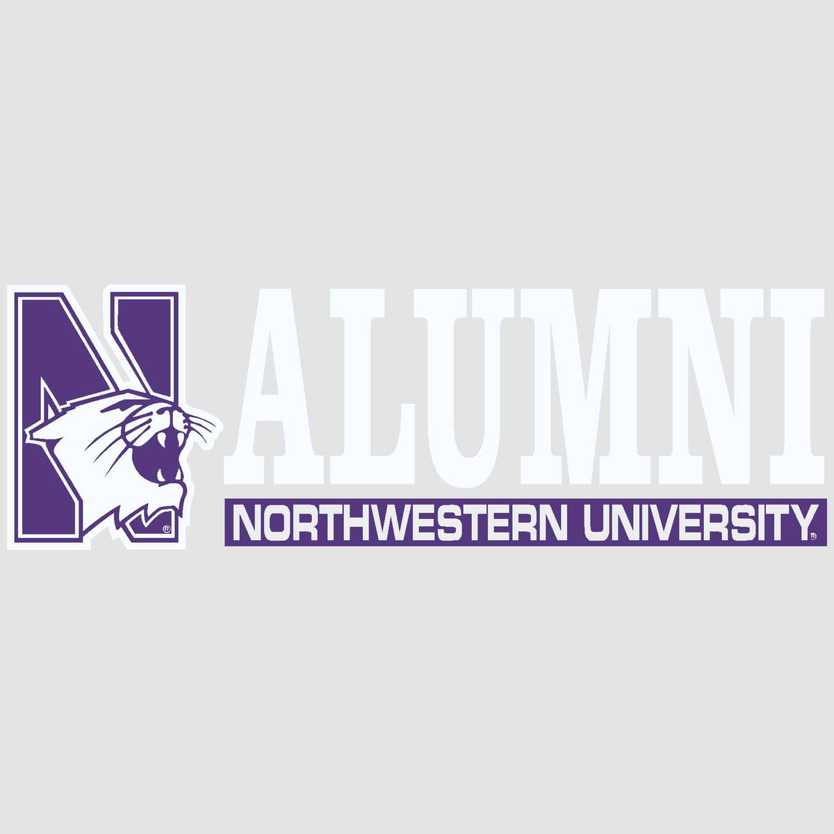 Northwestern University Wildcats N-Cat Alumni Bar Design Outside Application Decal