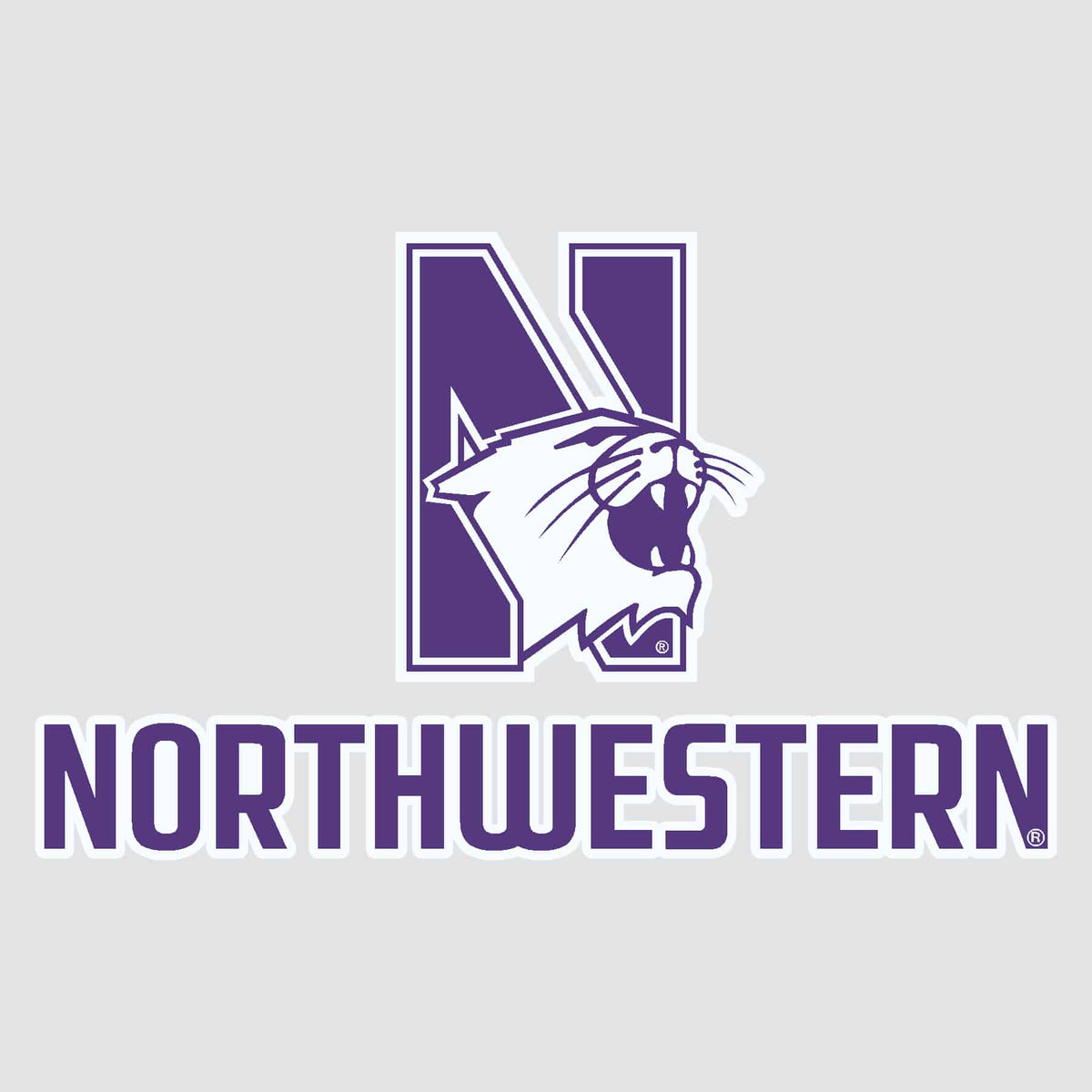 Northwestern University Wildcats N-cat Northwestern Design Outside Application Decal -2