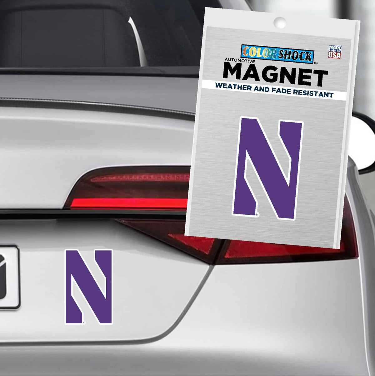 Northwestern University Wildcats 5" High Flexible Multi-Color Stylized N Magnet