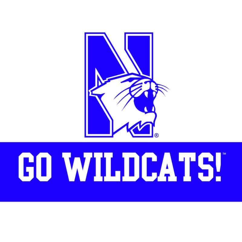 Northwestern University Wildcats "Go Wildcats" Notecard with Envelope