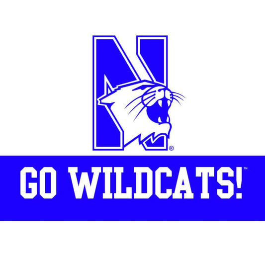 Northwestern University Wildcats "Go Wildcats" Notecard with Envelope