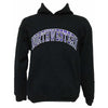Northwestern Wildcats Black Hooded Sweatshirt with Full Chest Embroidered Northwestern Design