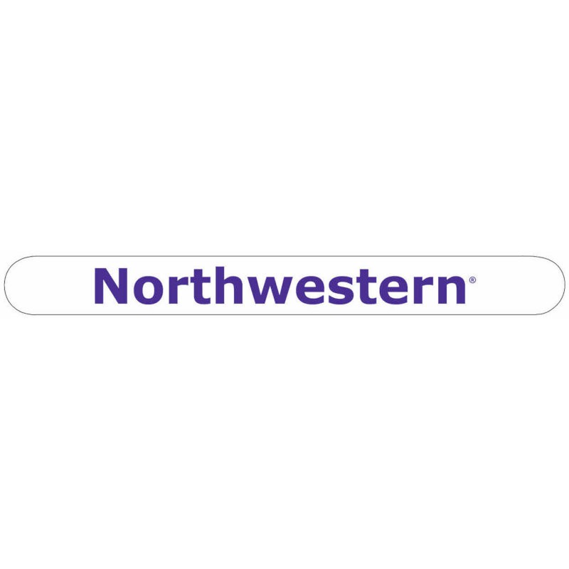 Northwestern Wildcats White Nail File with Northwestern Design