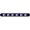 Northwestern Wildcats Black Nail File with N-Cat Design