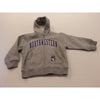 Northwestern Wildcats Grey Toddler Zip-Hood Sweatshirt
