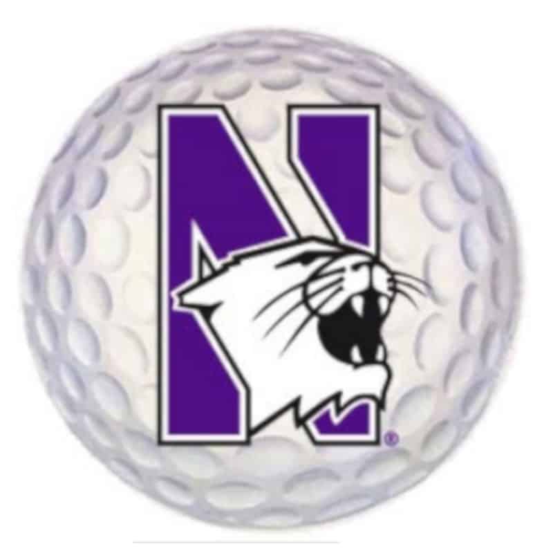 Northwestern Wildcats Outside Application Decal with N-cat on a Full Color Golf Ball Image 6" x 6"