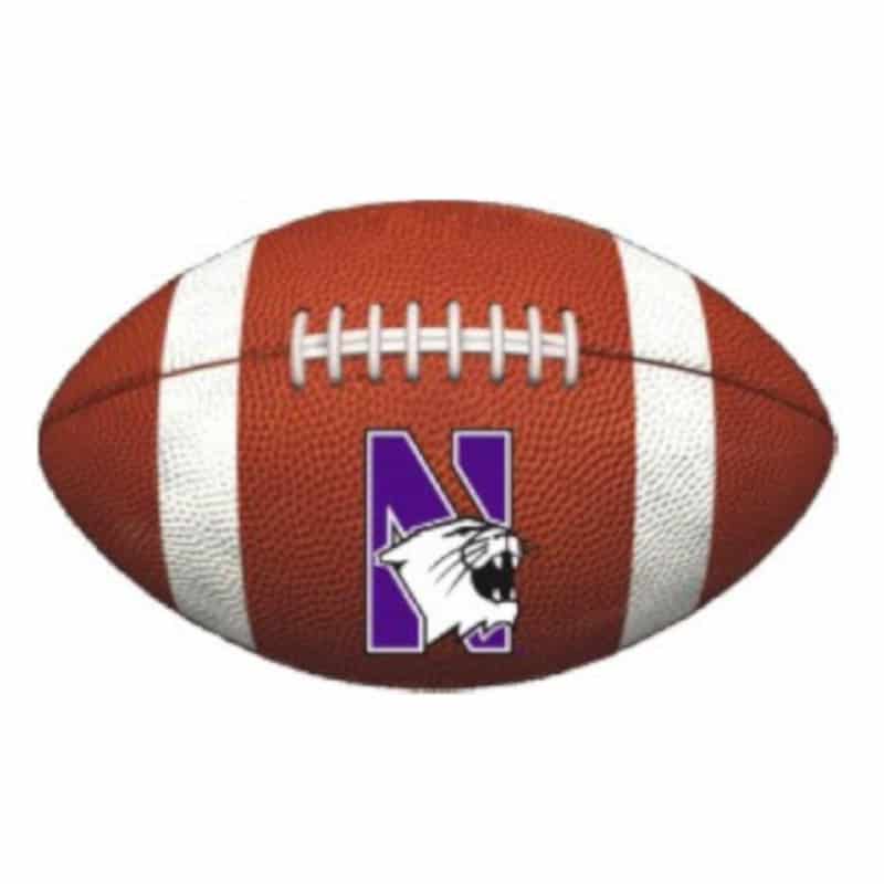 Northwestern Wildcats Outside Application Decal with N-cat on a Full Color Football Ball Image 7.5" x 4.7"