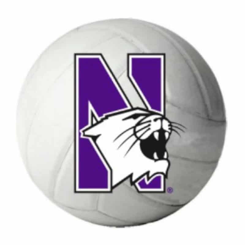 Northwestern Wildcats Outside Application Decal with N-cat on a Full Color Volleyball Ball Image   6" x 6"