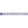 Northwestern Wildcats Static Cling Inside Application Decal with Seal Design 1.5"X13.5"