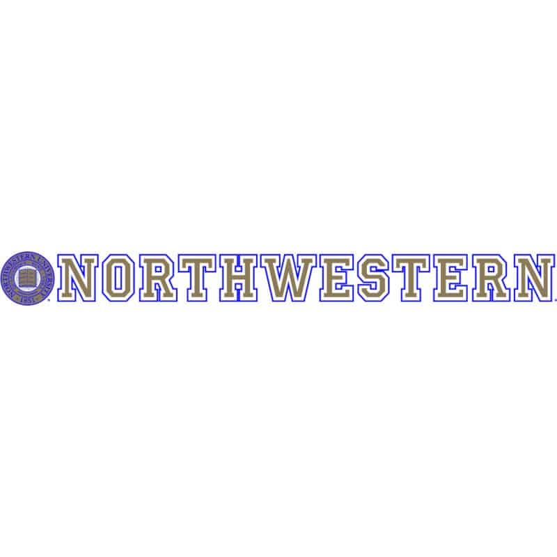 Northwestern Wildcats Static Cling Inside Application Decal with Seal Design 1.5"X13.5"