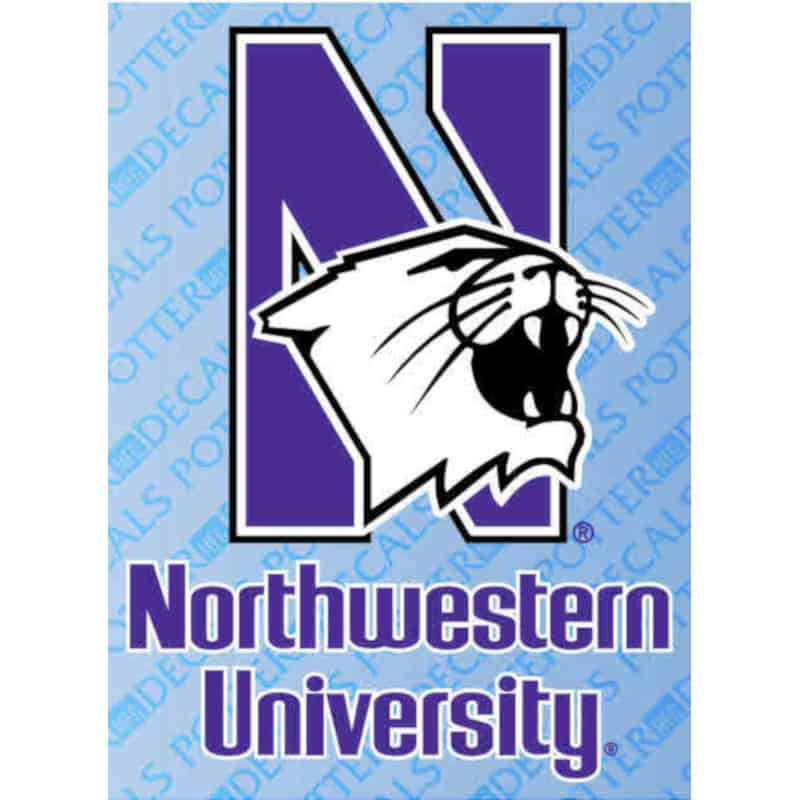 Northwestern Wildcats Adhesive Back Outside Application Decal with Mascot Design 3.25"X4.25"