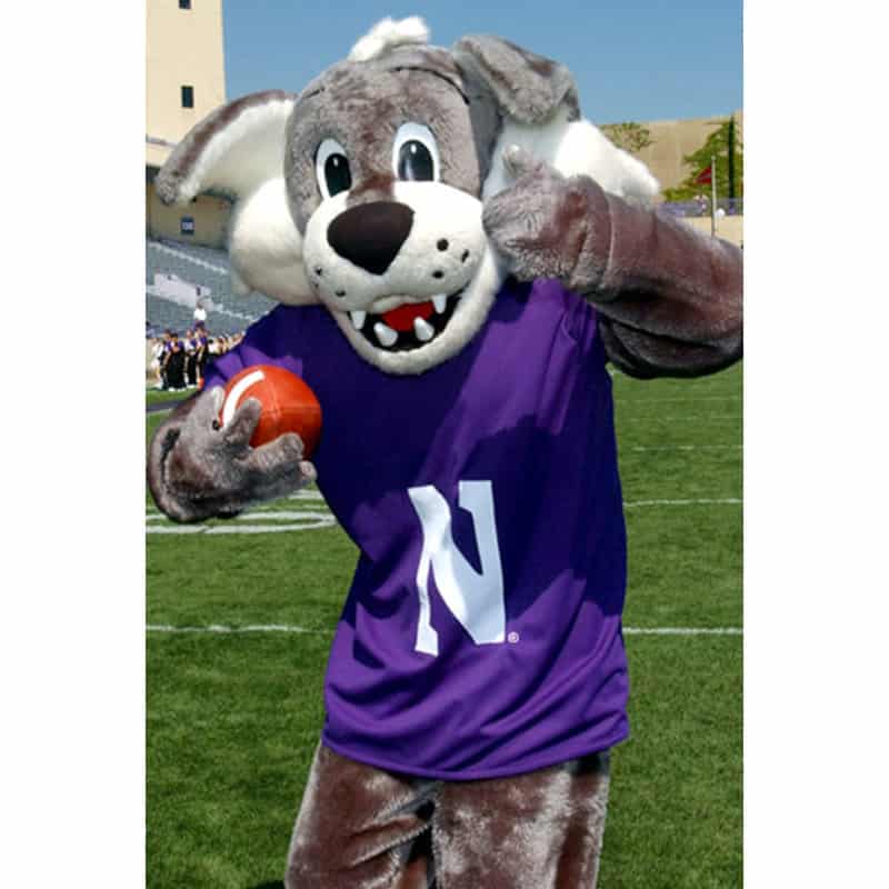 Northwestern Wildcats Postcard Willie the Wildcat inside Ryan Field NU0002