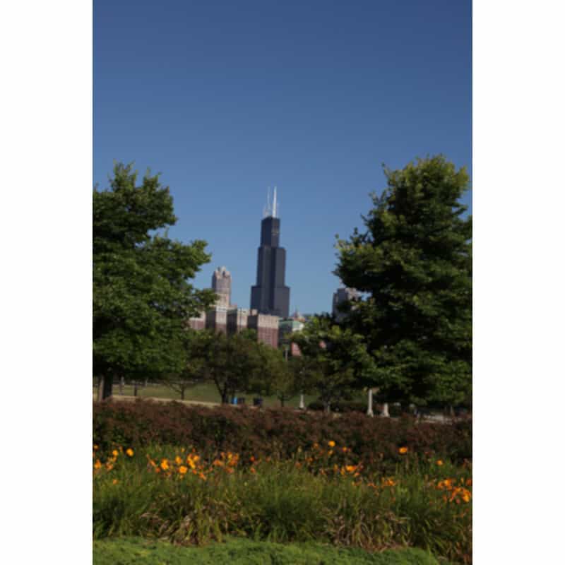 Chicago Postcard: Willis (Sears) Tower CPC0049