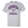 Northwestern University Wildcats Grey Short Sleeve Tee Shirt with Baseball Design