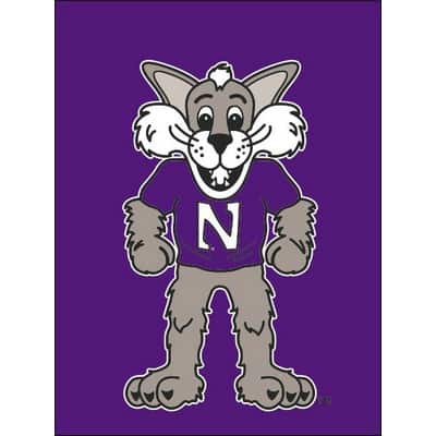 Northwestern University Wildcats 12"X18" Purple Garden Flag with Willie the Wildcat Design