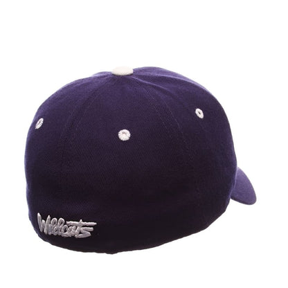 Northwestern Wildcats Zephyr Dark Purple Fitted Hat with Stylized N-Cat Design